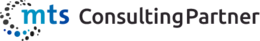 Logo mts Consulting Partner