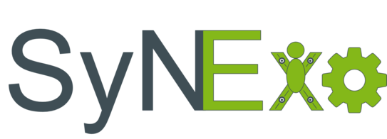 Logo Forschungsprojekt SyNExo