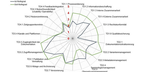 Ausgefülltes Netzdiagramm als Ergebnis der Erhebung anhand des Reifegradmodells